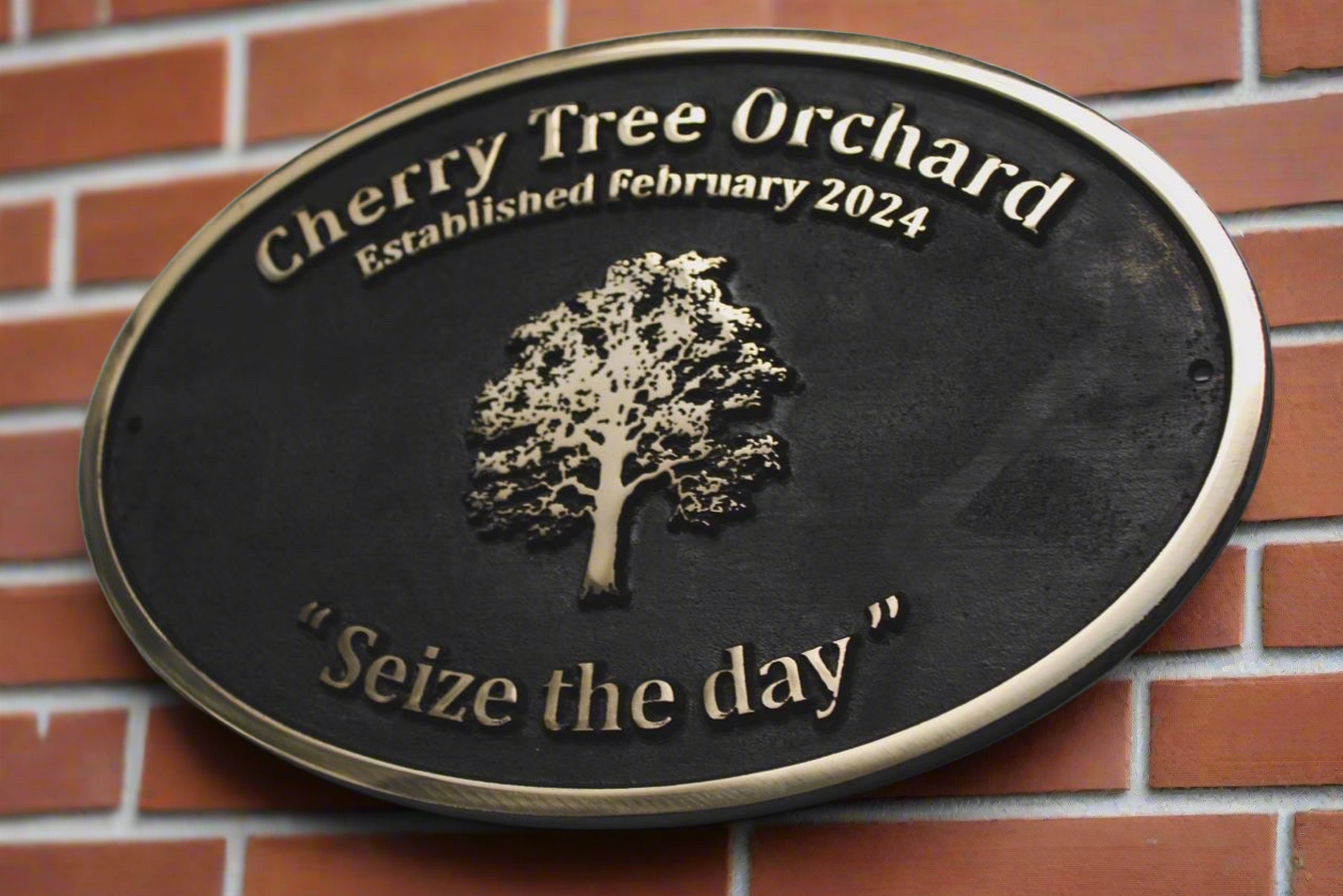 Bronze plaque oval