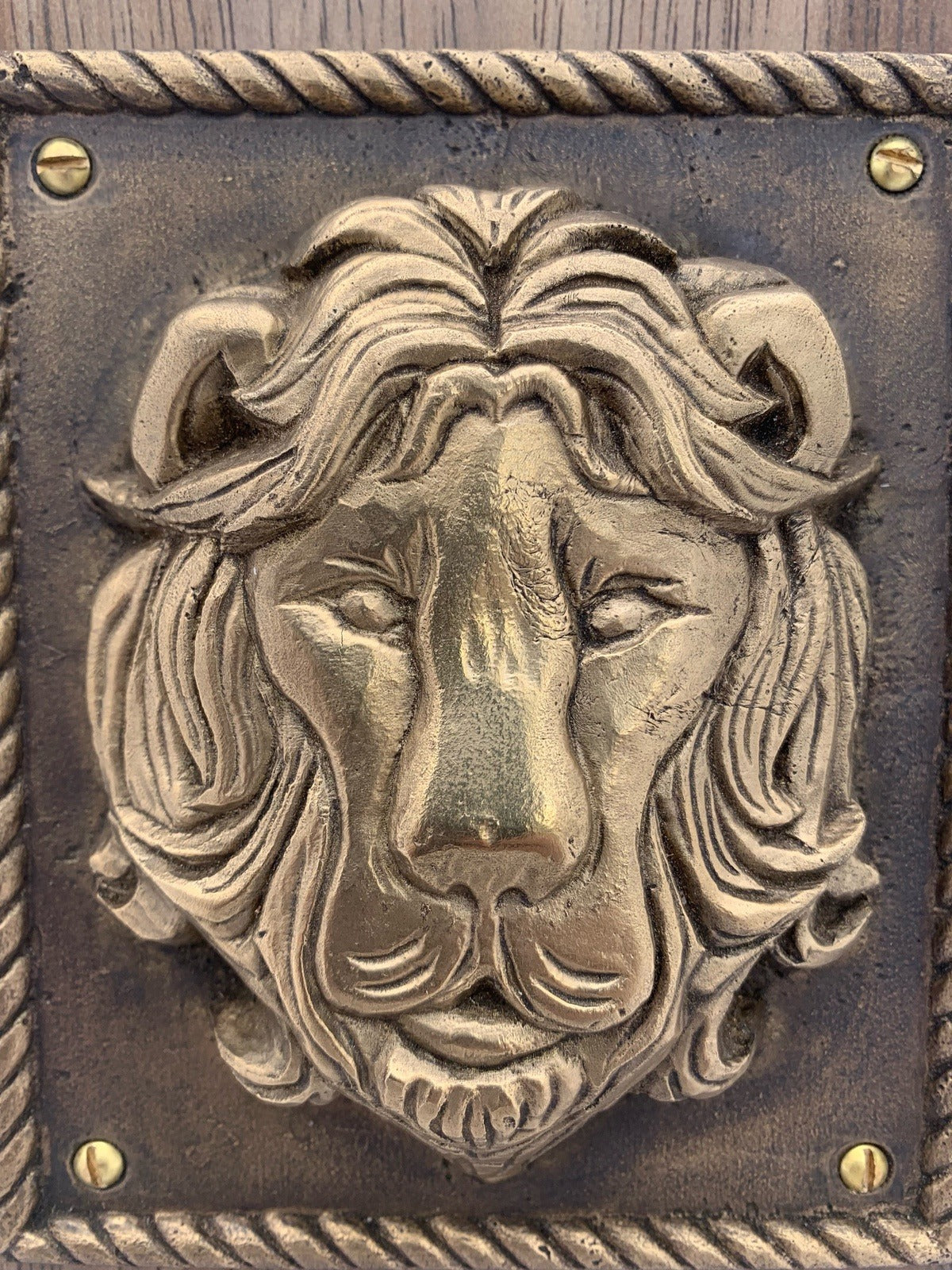 Bronze Lion Sculpture