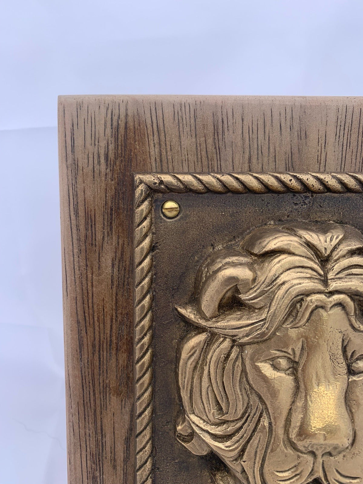 Bronze Lion Sculpture