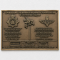 A rectangular bronze military commemorative plaque mounted on a white textured wall. The plaque features embossed military insignia, including a crown, a winged figure, and a parachute emblem, along with bilingual text honoring the 12th Battalion, The Devonshire Regiment, and the 6th Airborne Division.