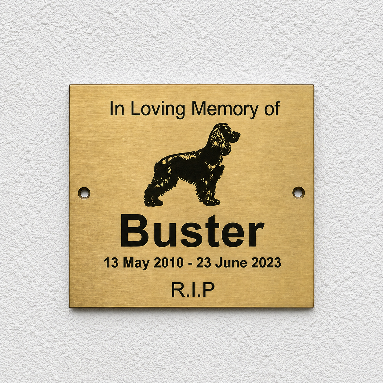 A square brushed gold metal memorial plaque mounted on a textured white wall. The plaque features a black engraved silhouette of a dog and the text 'In Loving Memory of Buster 13 May 2010 - 23 June 2023 R.