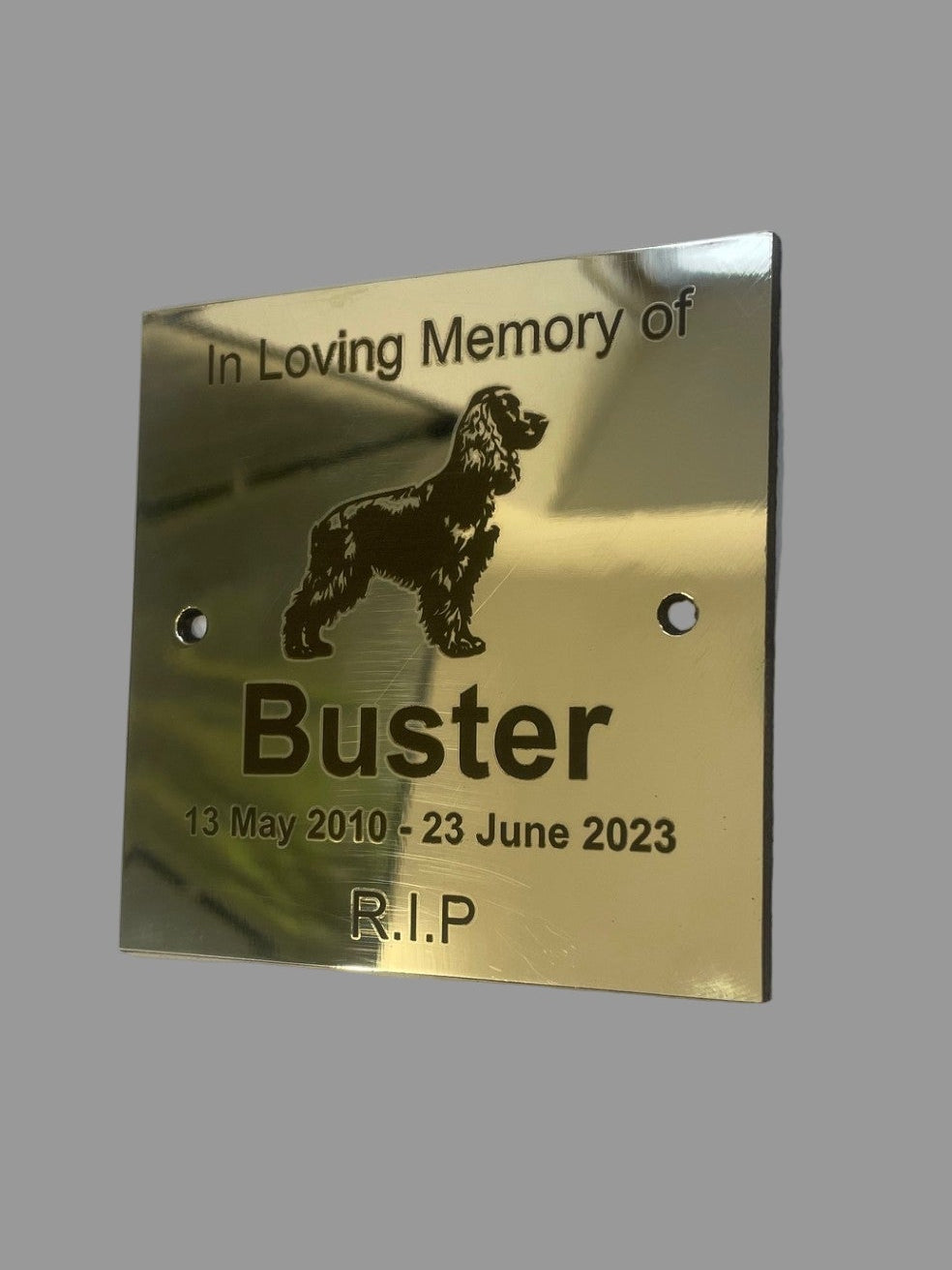 Gold plaque with engraved dog illustration and text 'In Loving Memory of Buster' on a gray background