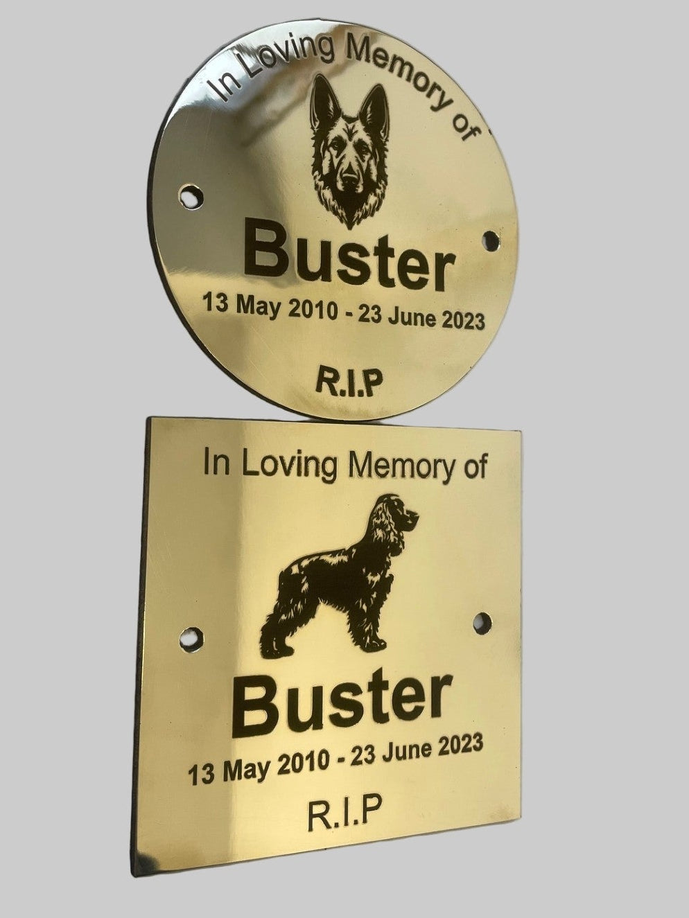 Two brass plaques commemorating a dog named Buster with his lifespan on a gray background.